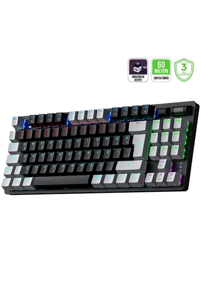 GamePower Eva 5 60m Mekanik Blue Switch Türkçe Q 88 Tuş Usb Gaming Klavye - 3 Yıl Garantili ürün görseli 1