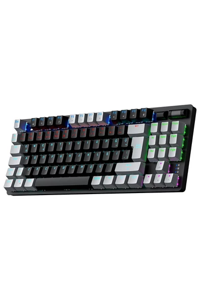 GamePower Eva 5 60m Mekanik Blue Switch Türkçe Q 88 Tuş Usb Gaming Klavye - 3 Yıl Garantili ürün görseli 1
