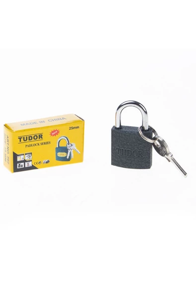TUDOR Asma Kilit Gri No25Mm Td-262 0247 ürün görseli 1