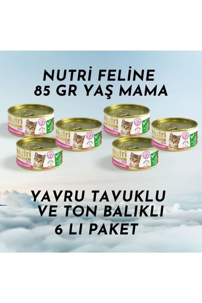 Nutri Feline Konserve 85 gr Yavru Kedi Tavuk Etli Ton Balıklı 6 Lı Paket Yaş Mama ürün görseli 1