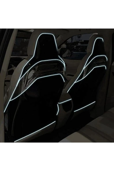 Tiger Marketing 2 Metre Araç İçi Torpido Ledi İp Neon Led ürün görseli 1