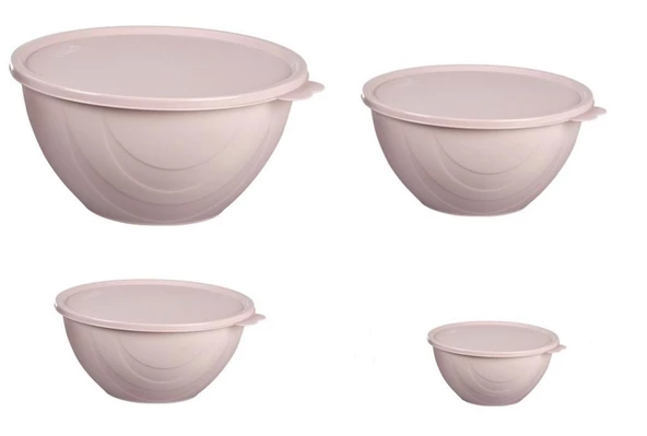 Moonstar Elegance Kapaklı Yoğurt Mayalama Kabı 4 Parça Saklama Kabı 4+2,5+1+0,5Litre ürün görseli 1