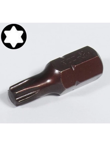 Rico 005-KK1155 Kaplamalı Mıknatıslı Torx Bits Uç T55 30 mm ürün görseli 1