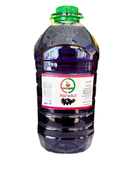 Karadut Aromalı İce Slush 1e5  konsatre Şurup  5 lt (buzlaş-karlama) ürün görseli 1