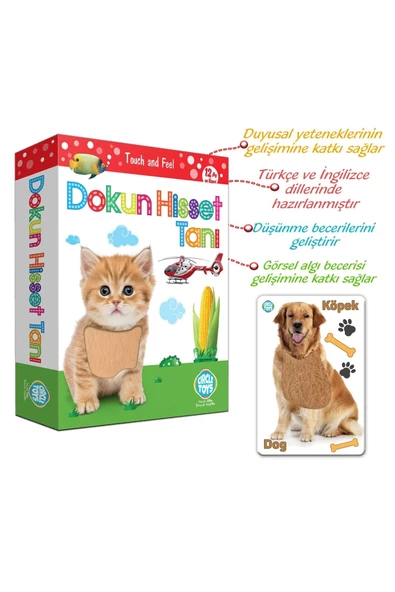 36 Parça Dokun Hisset Tanı Duyusal Zeka Kartları Eğitici Doğa Hayvan Eşya Öğrenme Seti Kutulu Oyun ürün görseli 1