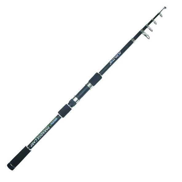 Albastar Paradise Carp 300 cm 40-80g Atarlı Karbon Sazan Olta Kamışı ürün görseli 1