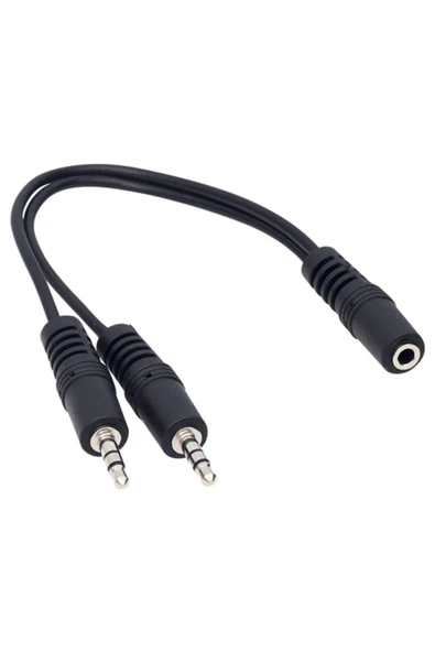 Powermaster 3.5mm Stereo Dişi/2x3.5mm Stereo Erkek 20cm Kablo ürün görseli 1