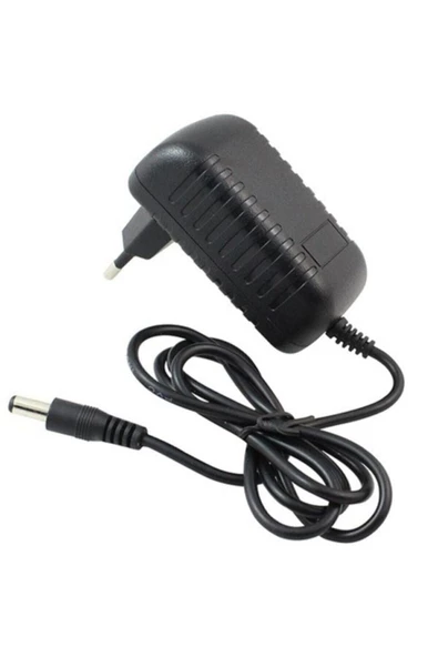 12 Volt 2 Amper 12v 2a - Zayıflatma Cihazı Bel Adaptörü ürün görseli 1