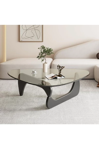 Eriza Vitra, Yeni Nesil Modern Elips Geometrik Orta Cam Sehpa, Siyah ürün görseli 1
