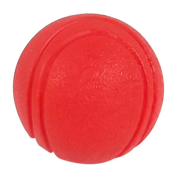 NUNBELL PLASTİK SERT TOP L ürün görseli 1