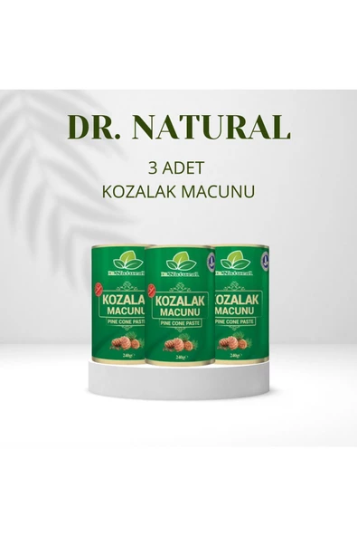 Kozalak Macunu Çam Kozalağı Macun 240 Gr. (3 ADET) ürün görseli 1