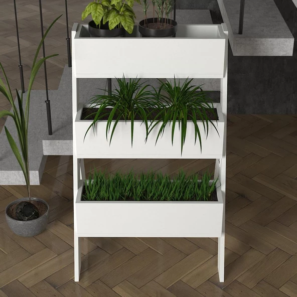 Gardenia Çiçeklik Beyaz - Resim 3
