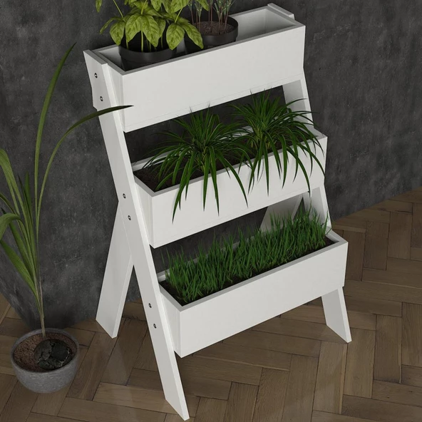 Gardenia Çiçeklik Beyaz - Resim 2
