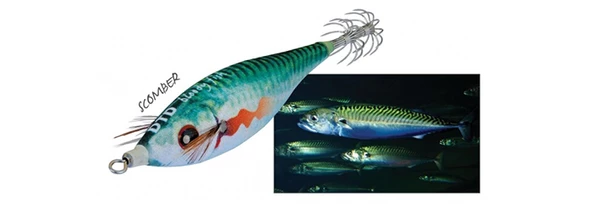DTD BLOODY FISH 2.0   6.5 CM 8.1 GR SCOMBER ürün görseli 1