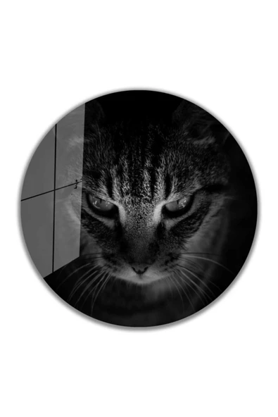 AlpiLeo Kedi Yuvarlak Alp Özel Cam Tablo 4mm Dayanıklı Temperli Cam Tablo ürün görseli 1
