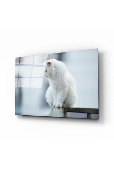 AlpiLeo Beyaz Kedi Alp Özel Cam Tablo ürün görseli 1