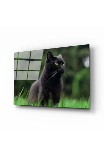 AlpiLeo Kedi 2 Alp Özel Cam Tablo ürün görseli 1