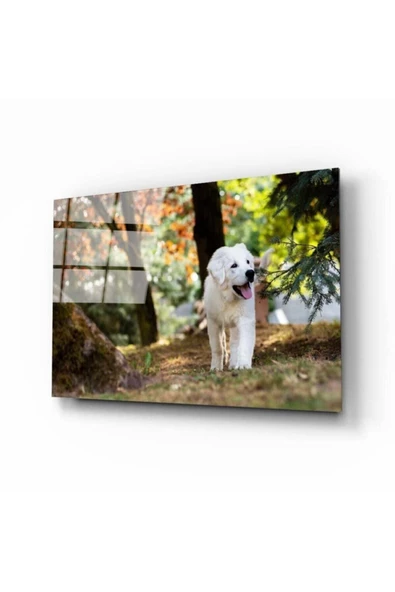 AlpiLeo Köpek Alp Özel Cam Tablo ürün görseli 1