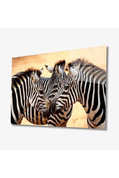 AlpiLeo Zebra Hayvan Alp Özel Cam Tablo 4mm Dayanıklı Temperli Cam ürün görseli 1
