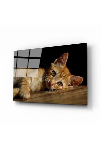 AlpiLeo Kedi 4 Alp Özel Cam Tablo ürün görseli 1