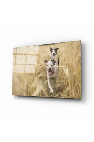 AlpiLeo Köpek 2 Alp Özel Cam Tablo ürün görseli 1
