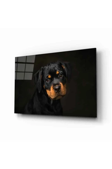 AlpiLeo Köpek 6 Alp Özel Cam Tablo ürün görseli 1