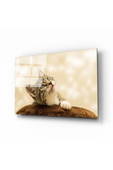 AlpiLeo Kedi 3 Alp Özel Cam Tablo ürün görseli 1