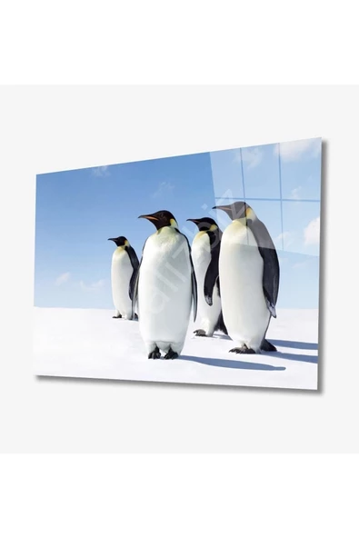 AlpiLeo Penguen Hayvan Alp Özel Cam Tablo 4mm Dayanıklı Temperli Cam ürün görseli 1