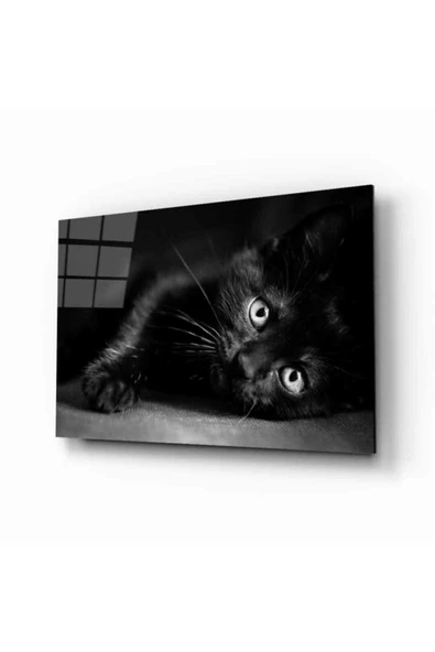 AlpiLeo Kedi 11 Hayvan Alp Özel Cam Tablo ürün görseli 1