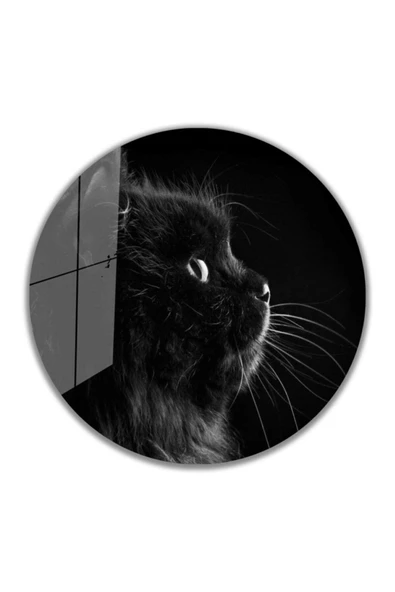 AlpiLeo Kedi Yuvarlak Alp Özel Cam Tablo 4mm Dayanıklı Temperli Cam ürün görseli 1