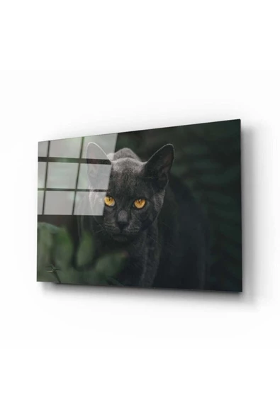AlpiLeo Siyah Kedi Alp Özel Cam Tablo ürün görseli 1