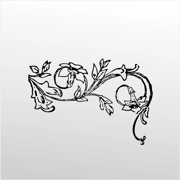 Folyo Sticker Çiçek Deseni ADKPQUY341 ürün görseli 1