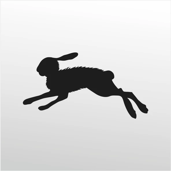 Folyo Sticker Çöl Tavşanı ürün görseli 1