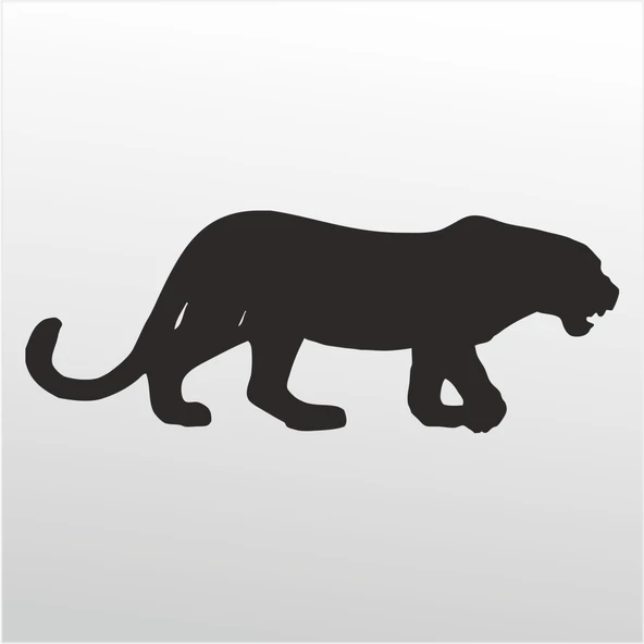 Folyo Sticker Çita ürün görseli 1