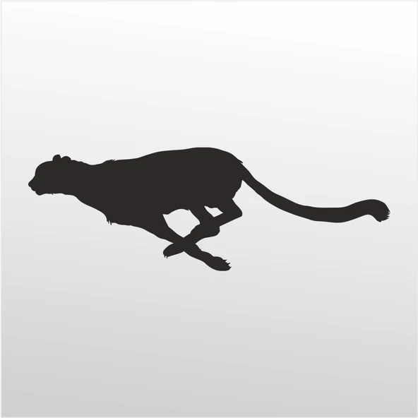 Folyo Sticker Çita ürün görseli 1