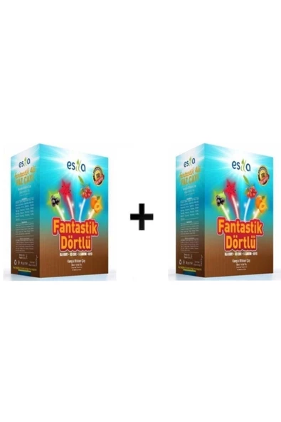 Esila Fantastik Dörtlü Yaz Karışık Süzen Poşet Çay 45'li 2 kutu ürün görseli 1