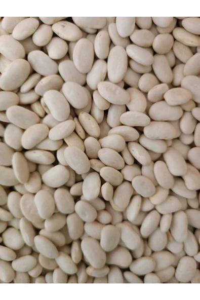 KURMEYSAN Kuru Fasulye Doğal Köy Mahsülü 1 Kg ürün görseli 1
