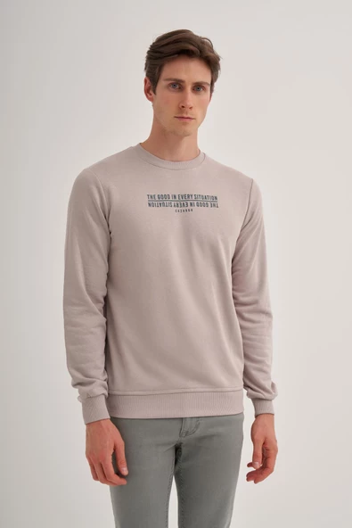 Cazador Erkek 3 İplik Şardonsuz Sweatshirt 5221 Gri ürün görseli 1