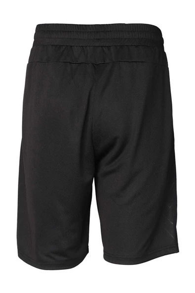 HUMMEL ERKEK ŞORT hmlT-TE FLEX MESH SHORTS 931681 - Resim 2