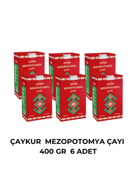 ÇAYKUR MEZOPOTOMYA ÇAYI 400 GR - 6 ADET ürün görseli 1