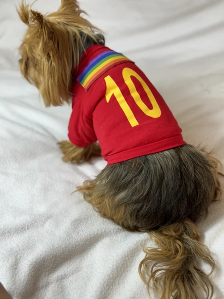 Uno Red Köpek Tişörtü ürün görseli 1