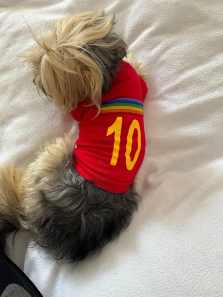 Uno Red Köpek Tişörtü - Resim 8