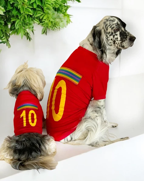 Uno Red Köpek Tişörtü - Resim 4