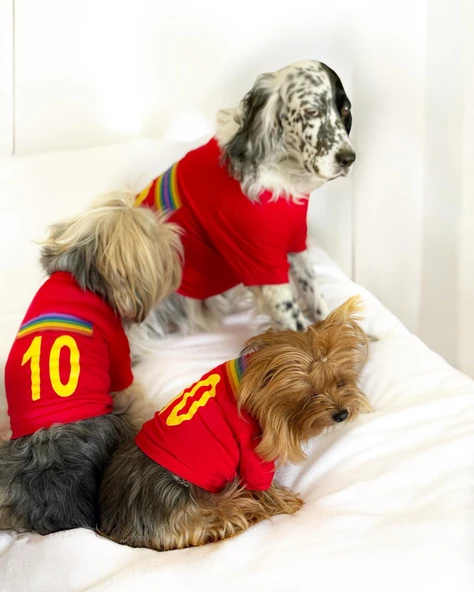 Uno Red Köpek Tişörtü - Resim 7