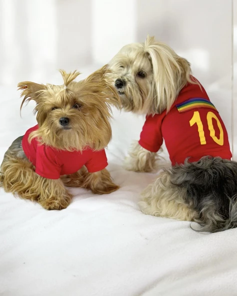 Uno Red Köpek Tişörtü - Resim 2