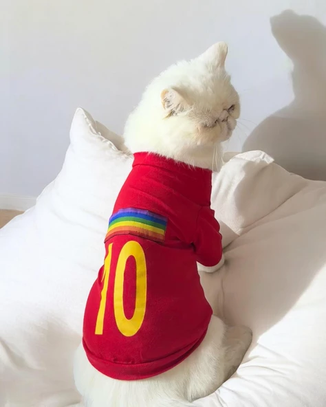 Uno Red Kedi Tişört ürün görseli 1