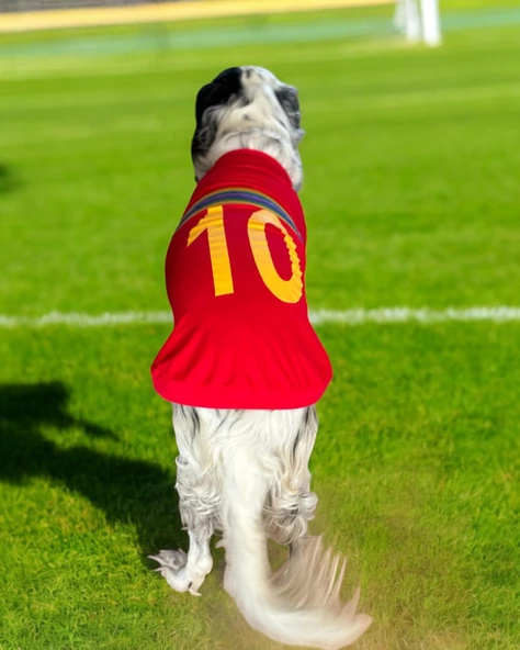 Uno Red Büyük Irk Köpekler İçin Tişört ürün görseli 1