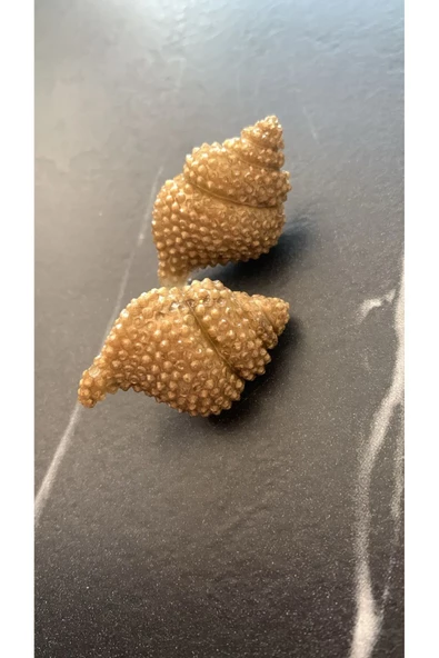 Gold Renk Ile Süslenmiş Deniz Kabuğu Istiridye Şekil Gümüş Aksesuarlı Epoksi Küpe El Yapımı ürün görseli 1