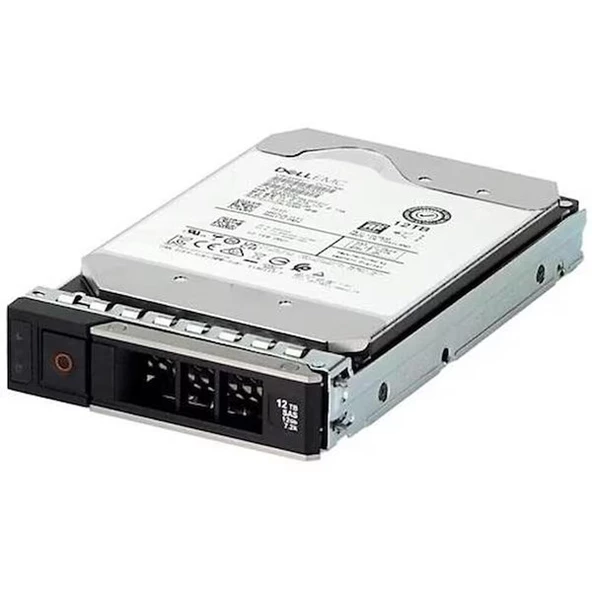 DELL 1TB 3.5" 161-BBZW 7200RPM 512E SATA-3 SUNUCU DİSK ürün görseli 1
