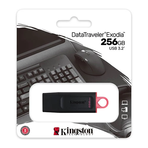 KINGSTON 256GB USB3.2 DataTrvEx DTX/256GB ürün görseli 1
